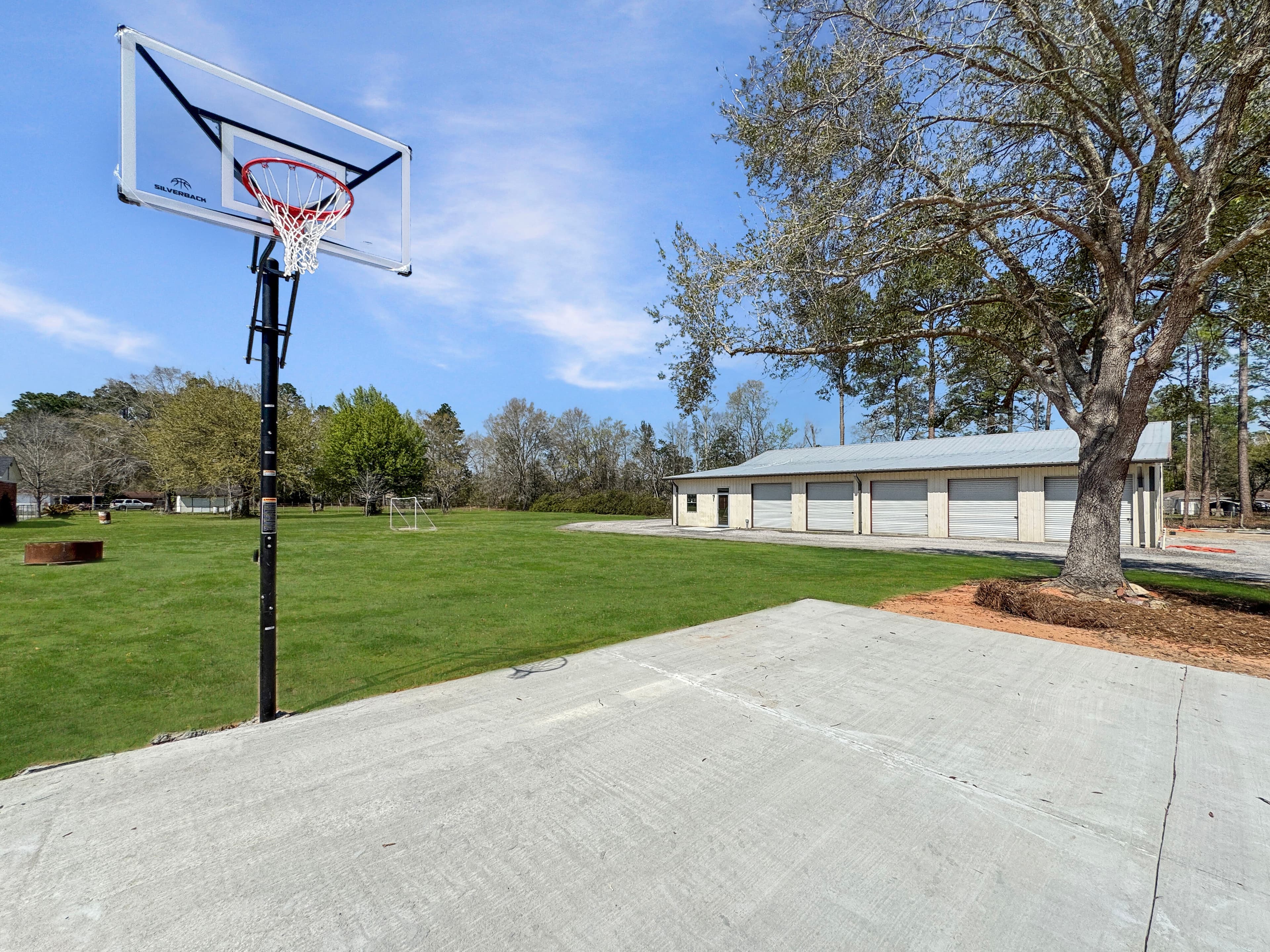 Basketball hoop on the driveway